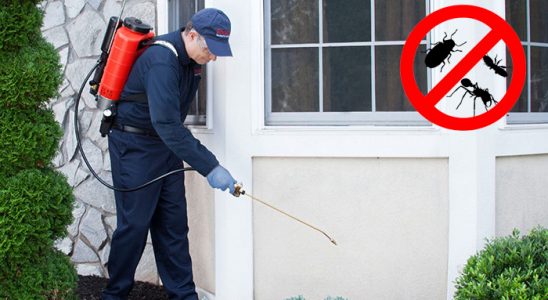 Cumayeri Dezenfeksiyon böcek ilaçlama ve haşere kontrolü — ilaclama-tr.com